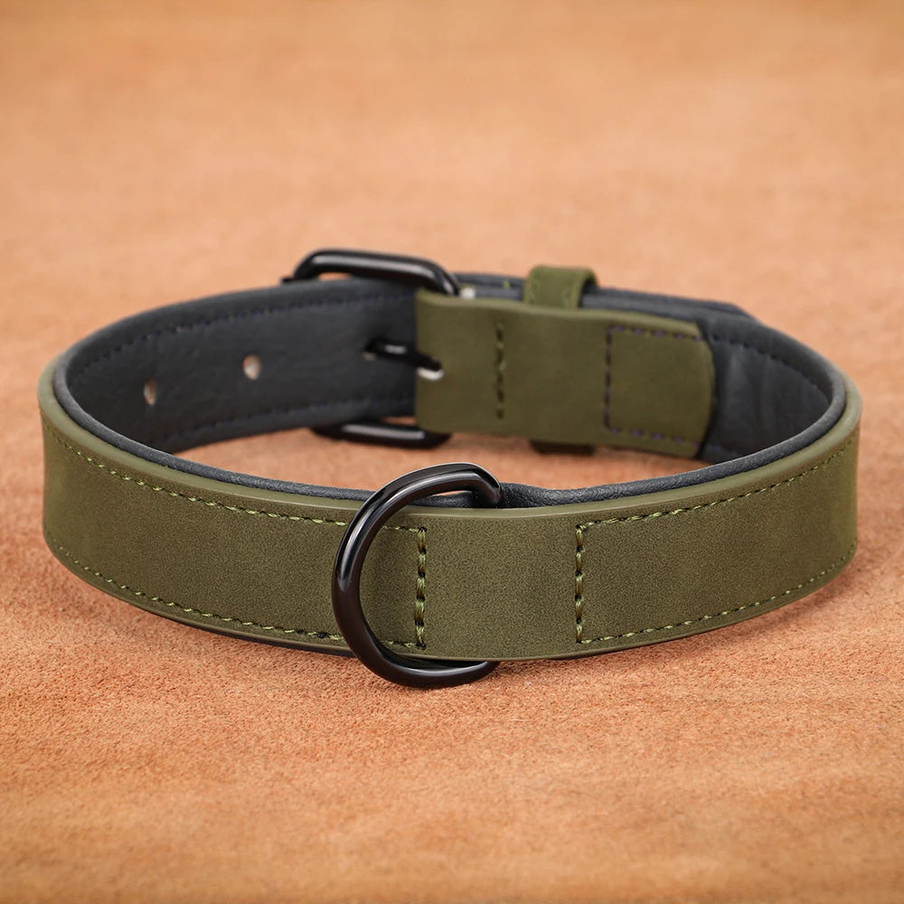 Collier pour Chien - Colrobus™