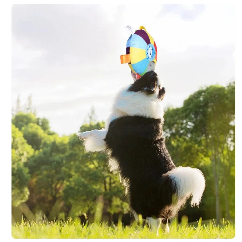 Jouet pour Chien - ActiveGrip™