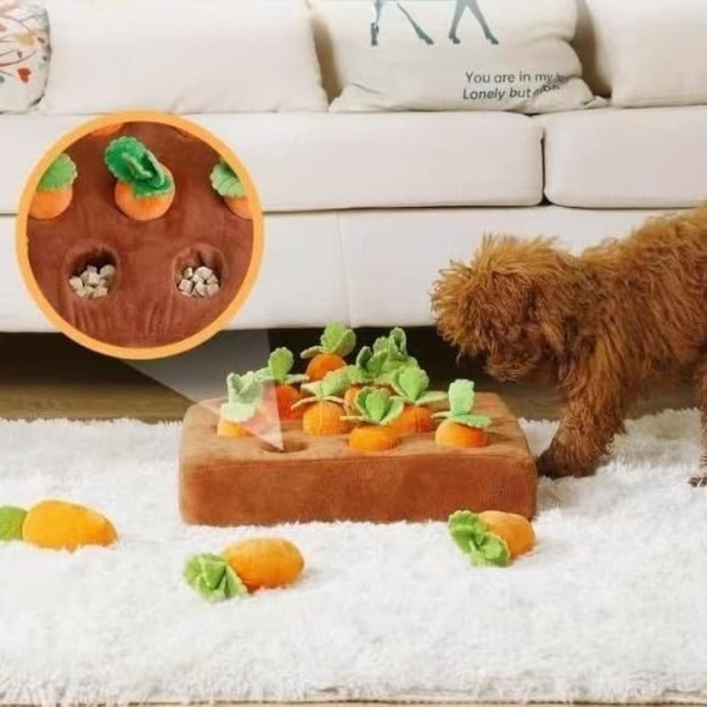 Jouet pour Chien - Renif'Carottes™