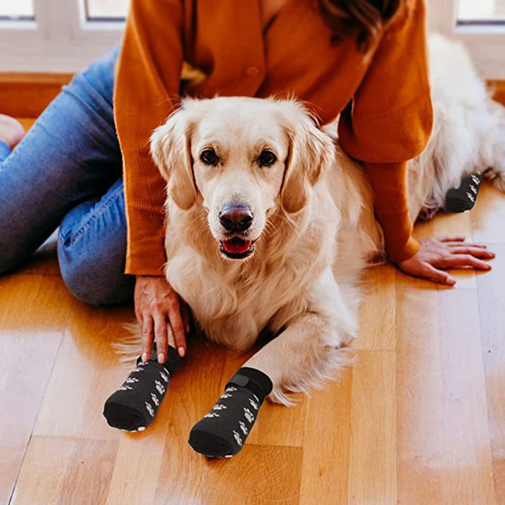 Chaussettes pour chien - Mouf’Patte™