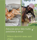 E-book: 🐾 Astuces pour des nuits paisibles avec son Chien
