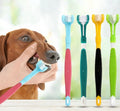 Brosse à dents pour Chien - TripleBross™