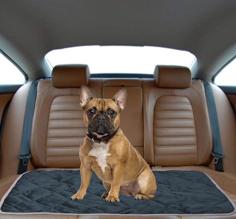 Tapis pour Chien - Chaudouillet™