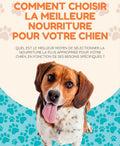 E-book: Comment choisir la meilleure nourriture pour votre chien