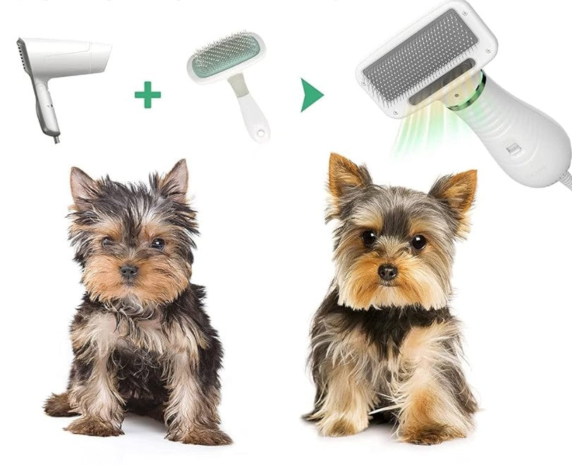 Sèche cheveux pour Chien - BreezePoil™