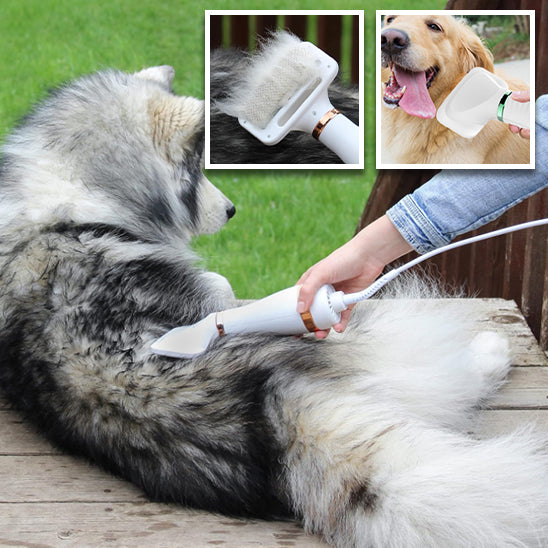 Sèche cheveux pour Chien - BreezePoil™