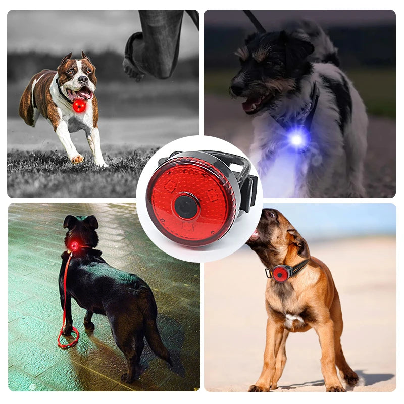 Collier lumineux pour Chien - LumoCollier™