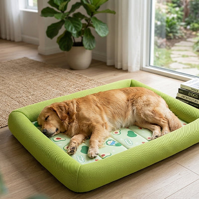 Tapis Rafraichissant Chien - Fraîcheur™