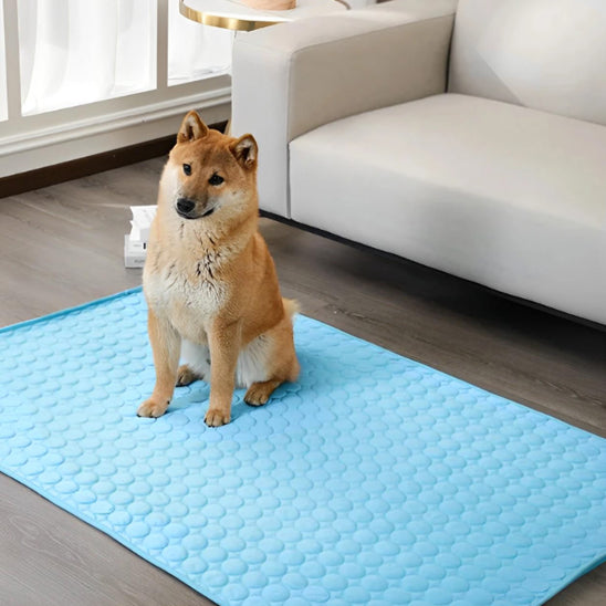 Tapis Rafraichissant Chien - FraisToutou™