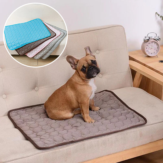Tapis Rafraichissant Chien - FraisToutou™