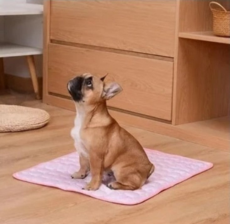 Tapis Rafraichissant Chien - FraisToutou™