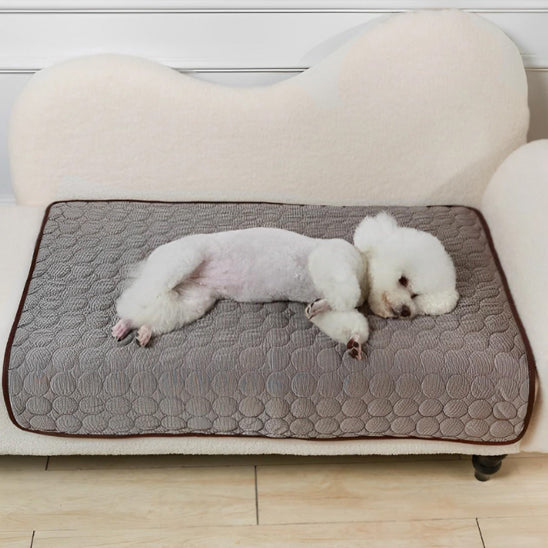 Tapis Rafraichissant Chien - FraisToutou™
