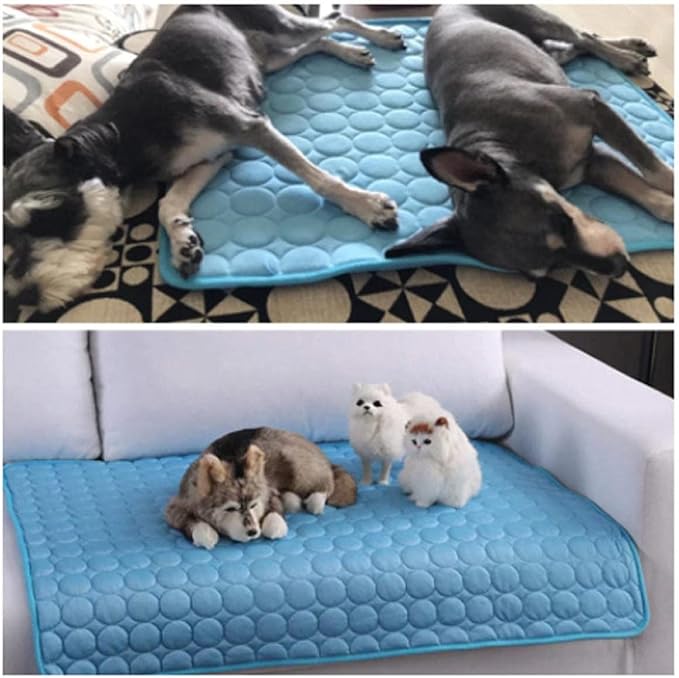 Tapis Rafraichissant Chien - FraisToutou™