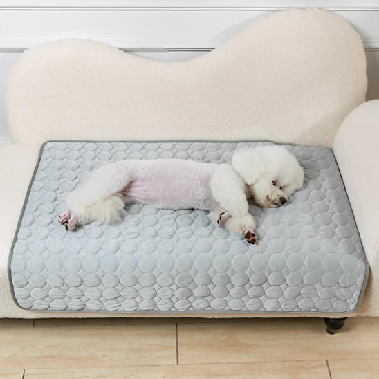 Tapis Rafraichissant Chien - FraisToutou™