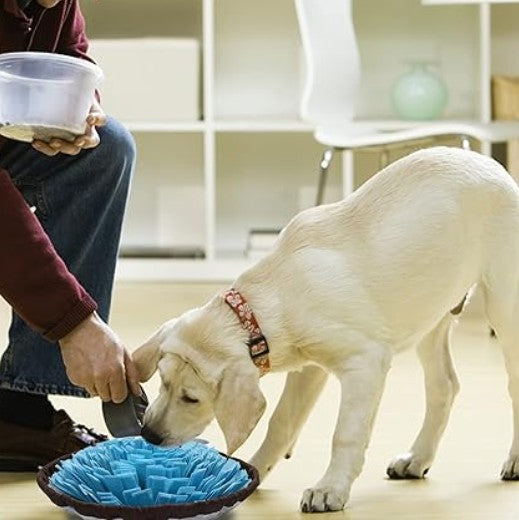 Tapis de fouille Chien - Reniflix™