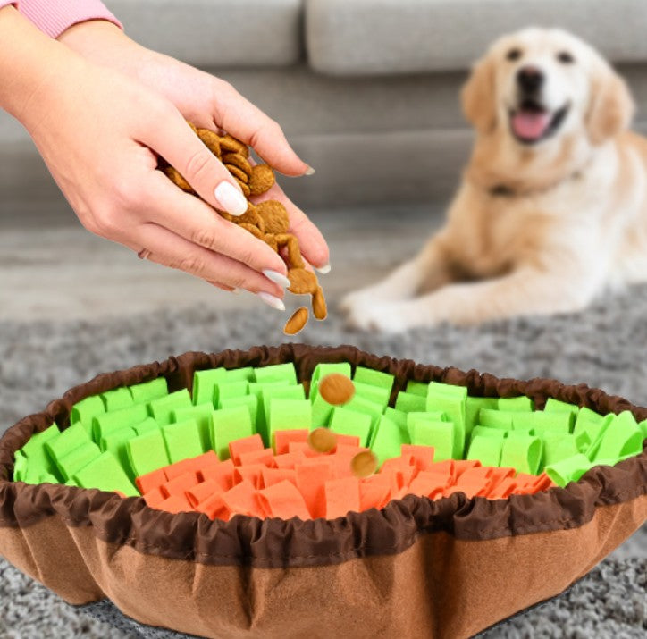 Tapis de fouille Chien - Reniflix™