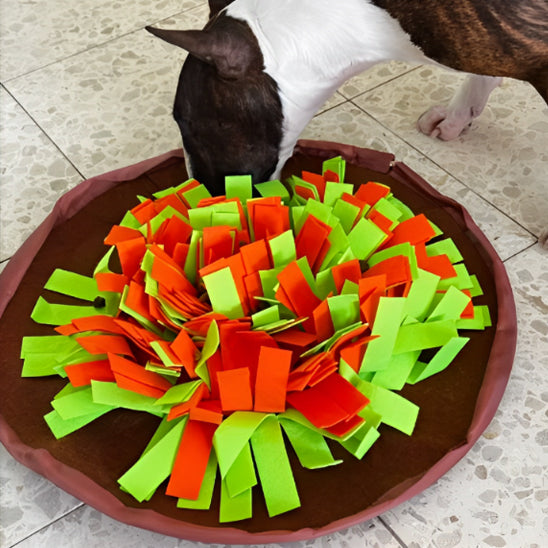 Tapis de fouille Chien - Reniflix™