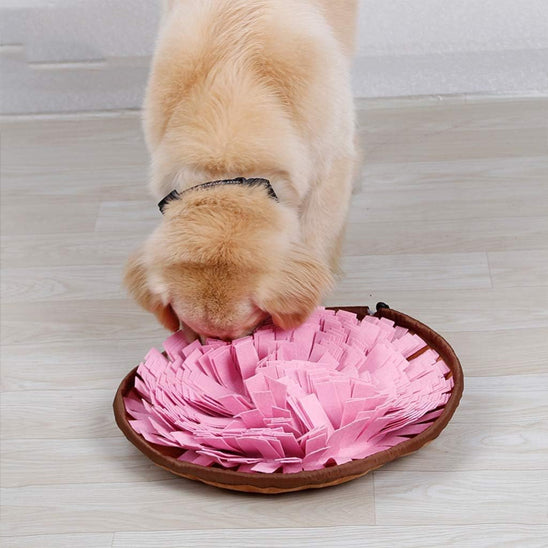 Tapis de fouille Chien - Reniflix™