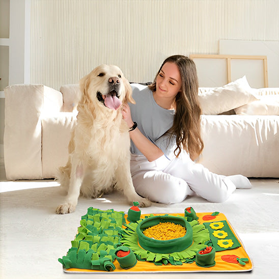 Tapis de fouille Chien - TrouvTout™