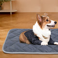 Tapis pour Chien - Chaudouillet™