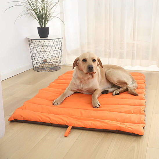 Tapis pour Chien - HydroPat™