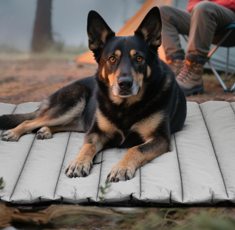 Tapis pour Chien - HydroPat™