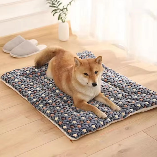 Tapis pour Chien - Nidou™