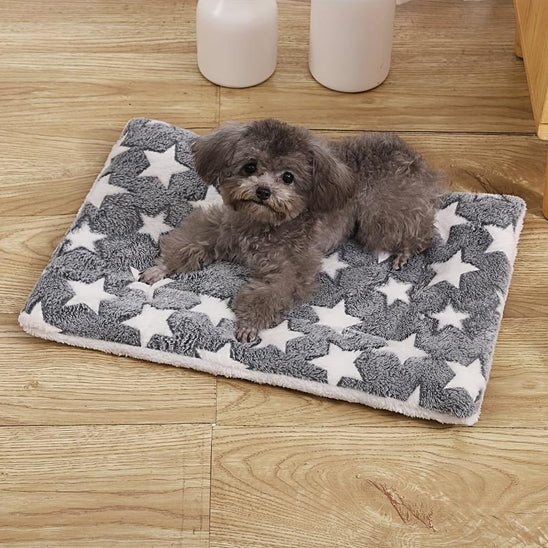Tapis pour Chien - Nidou™