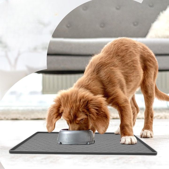 Tapis pour Chien - StopMiette™