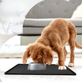 Tapis pour Chien - StopMiette™