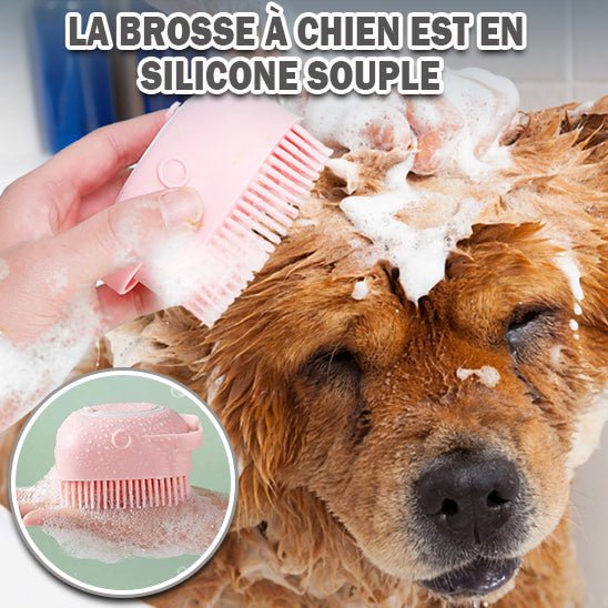 Brosse de shampooing pour chien 80 ml - ÉclatCanin™ - ChienDog