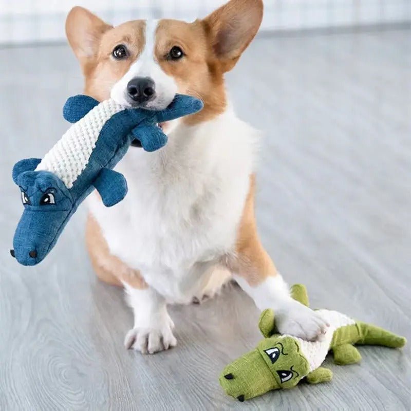 Crocodent™ - jouet sonore en peluche pour chien - ChienDog