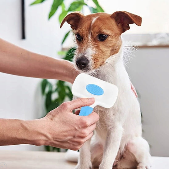 Brosse pour chien - DémelPoil™