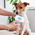 Brosse pour chien - DémelPoil™