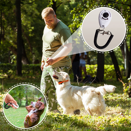 Dressage Chien - CliqDress™