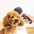 Brosse pour chien - DémelPoil™