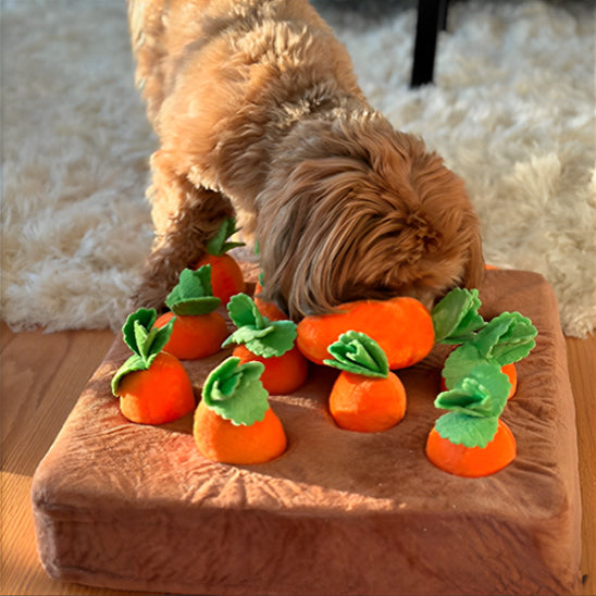 Jouet pour Chien - Renif'Carottes™