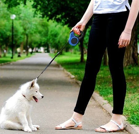 Laisse pour Chien - Rétractable - ChienDog