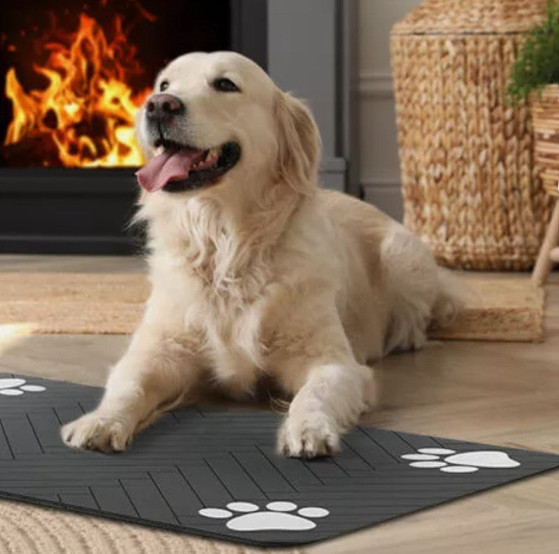 Tapis Absorbant Chien - AbsorPattes™