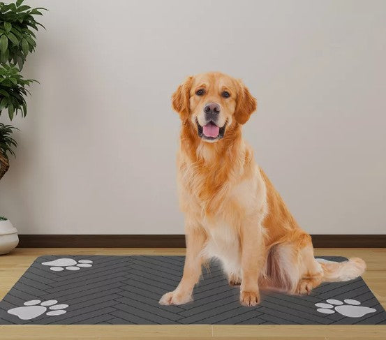 Tapis Absorbant Chien - AbsorPattes™