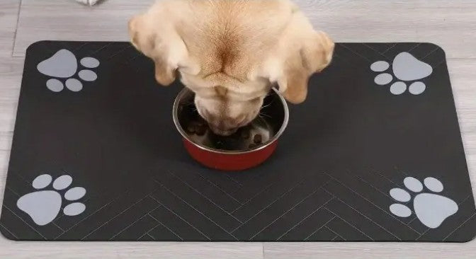 Tapis Absorbant Chien - AbsorPattes™