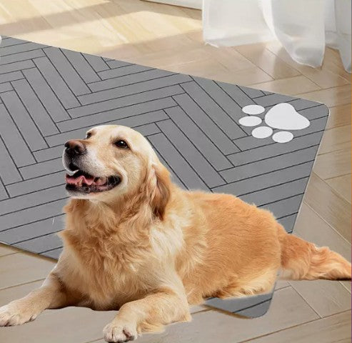 Tapis Absorbant Chien - AbsorPattes™