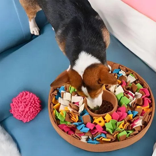 Tapis de fouille chien