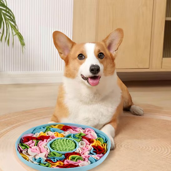 Tapis de fouille chien